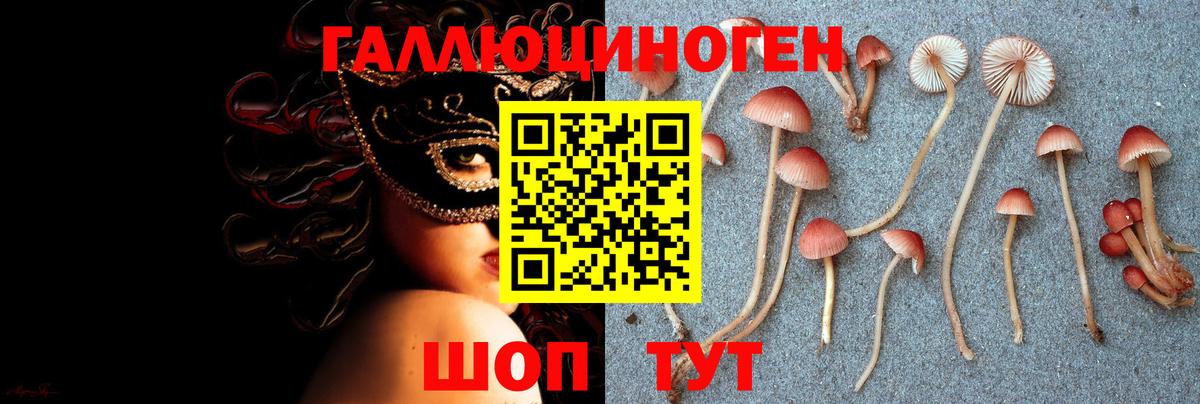 Галлюциногенные грибы Psilocybe  Вход с VPN  Гурьевск  Галлюциногенные грибы Cubensis 